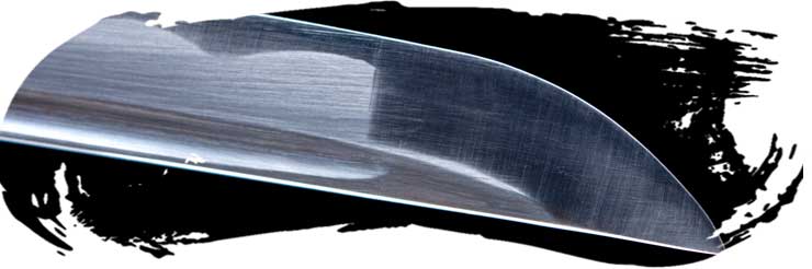 Hoja